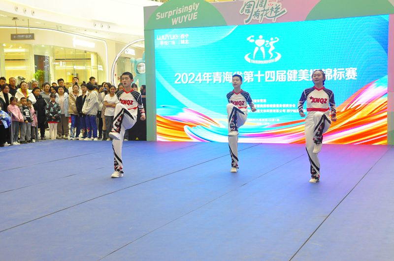 2024年青海省第十四届健美操锦标赛圆满落幕健美操选手展现力与美的完美融合(图3)