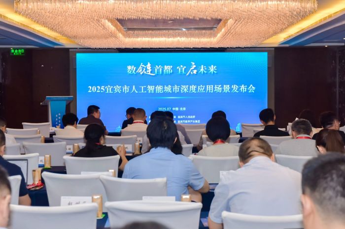 数链首都宜启未来｜宜宾市发布5大领域14类人工智能应用场景机会清单(图1)