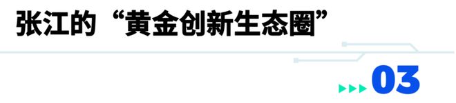 国产血管介入器械新突破！“张江样本”的创新密码(图8)