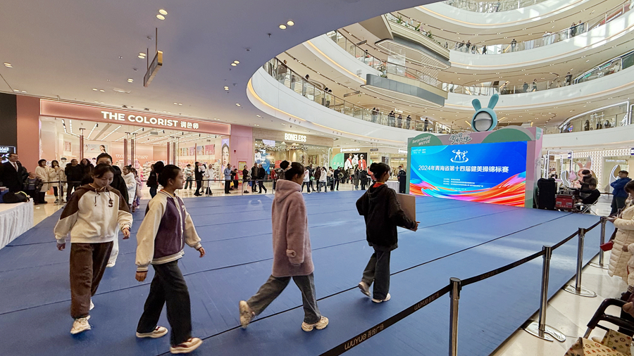 展现力与美的完美融合2024年青海省第十四届健美操锦标赛圆满落幕(图2)