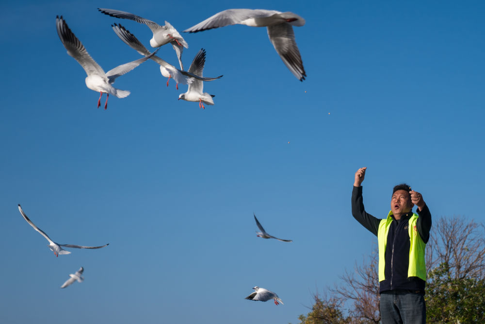 雾凇融媒网(图4)