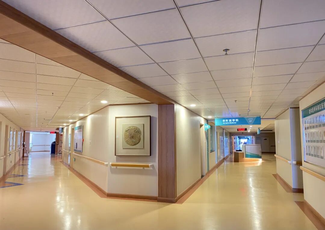 以扎实实力守护银龄健康！河北燕达医院老年医学科获评2025年度省级临床重点专科项目建设单位(图2)