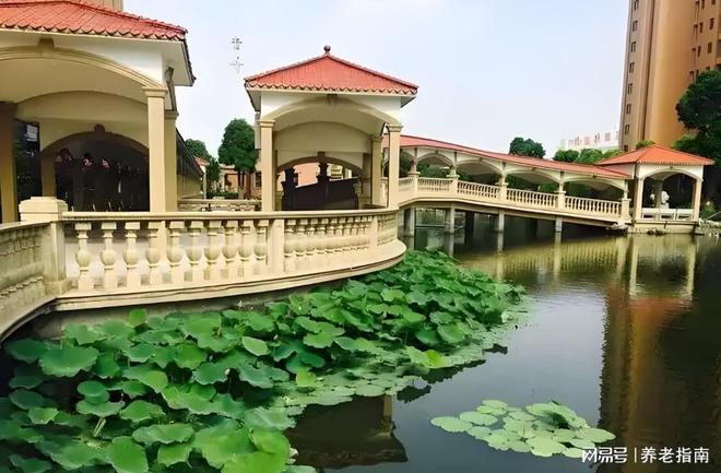 香树湾护理院每月3760元起靠谱吗-浦东宣桥镇地址+2026收费明细(图4)